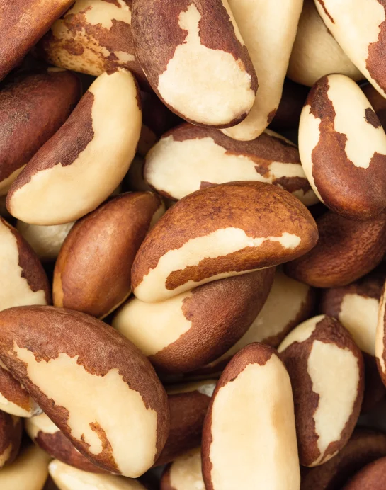 Brazil Nuts