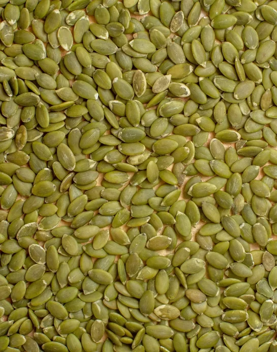 Pumpkin Seeds