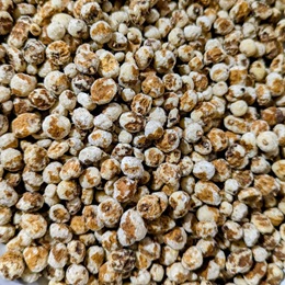 Tiger Nuts
